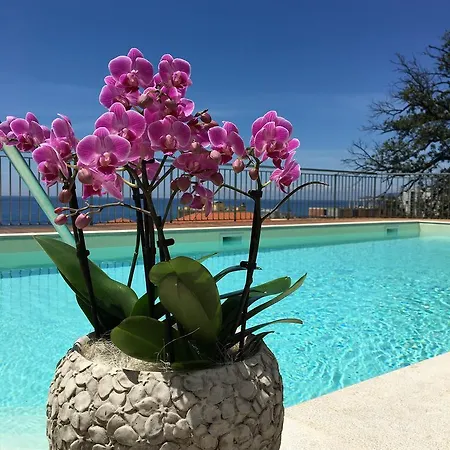 Mediterraneo カヴィ・ディ・ラヴァーニャ