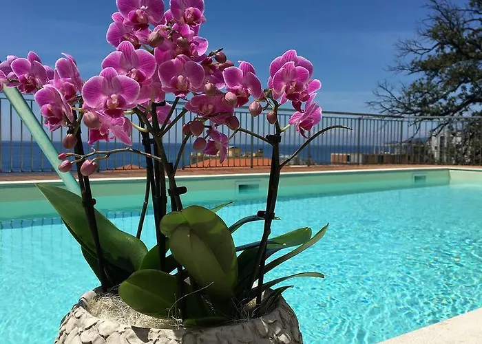 Mediterraneo Cavi di Lavagna