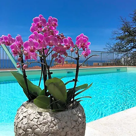 Mediterraneo